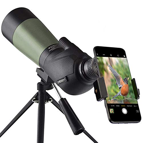 Top 10 Best Whale Watching Telescope Reviewed In 2021 - Mostraturisme