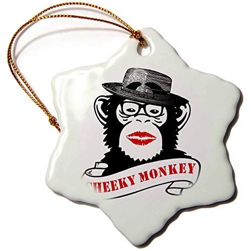 Top 10 Best Monkey With Lipstick Reviewed & Rated In 2022 - Mostraturisme