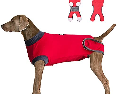 Dog Recovery Suit Body Suit After Surgery Dog Onesie Cone Alternative Spay Neuter Suit Surgical Recovery Suit for Female Male Dogs Red L
