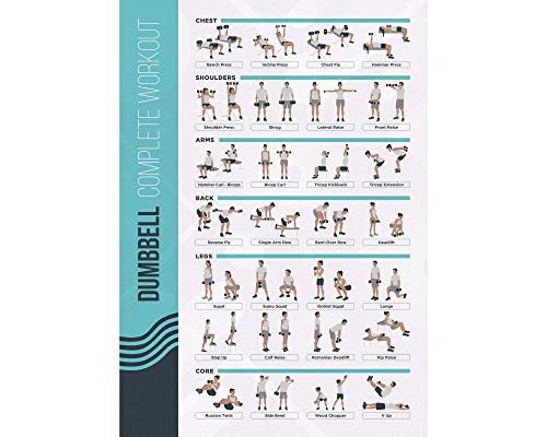 FitMate Dumbbell Workout Exercise Poster - Workout Routine with Free Weights, Home Gym Decor, Room Guide (16.5 x 25 Inch)
