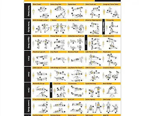 NewMe Fitness Workout Posters for Home Gym, Bodyweight Exercise Posters for Full Body Workout, Core Abs Legs Glutes & Upper Body Training Program (Vol 2)