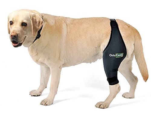 Ortocanis™ Original Dog Knee Brace - Size XL - Left Leg - for ACL, Knee Cap Dislocation, Arthritis - Keeps The Joint Warm - Extra Support - Reduces Pain and Inflammation