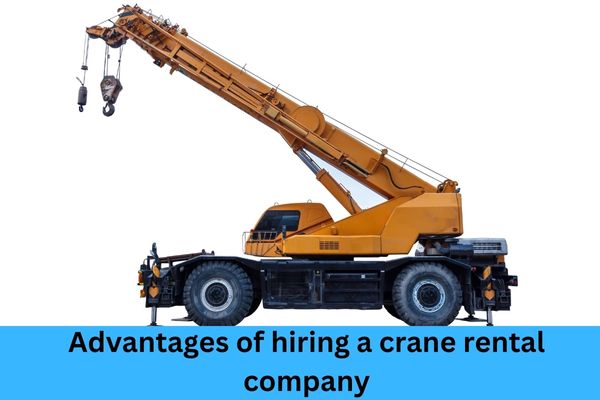Advantages of Hiring a Crane Rental Company