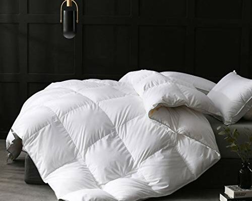 APSMILE Full/Queen Size Goose Feathers Down Comforter Duvet Insert - Ultra-Soft All Season Down Comforter Hotel Collection Comforter, 46 Oz Fluffy Medium Warmth (90x90, White)