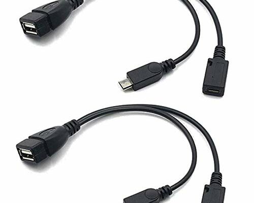 AuviPal 2-in-1 Micro USB to USB Adapter (OTG Cable + Power Cable) for Fire Stick, Playstation Classic and More - 2 Pack