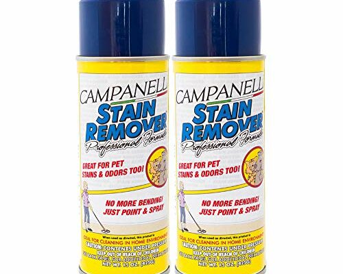 CAMPANELLI Professional Formula Stain Remover - Pet Stain and Odor Eliminator for Dogs and Cats - Removes Stains from Carpet, Fabrics, Upholstery and More (Aerosol Spray, 2 Pack)