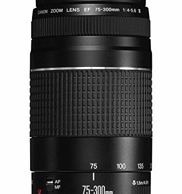 Canon EF 75-300mm f/4-5.6 III Telephoto Zoom Lens for Canon SLR Cameras