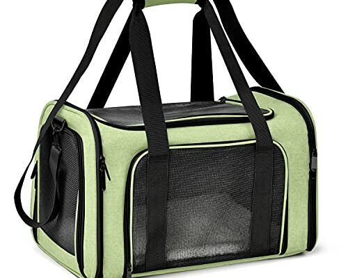 Henkelion Large Cat Carriers Dog Carrier Pet Carrier for Large Cats Dogs Puppies up to 25Lbs, Big Dog Carrier Soft Sided, Collapsible Travel Puppy Carrier - Large - Green