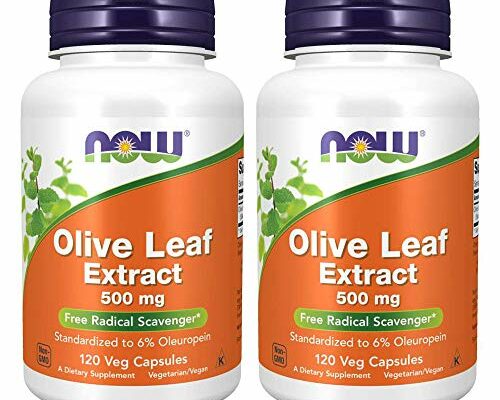 Now Foods Olive Leaf Extract 500mg Standardized to 6% Oleuropein, 120 Vcaps (2 Pack)