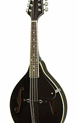 Rogue RM-100A A-Style Mandolin Black