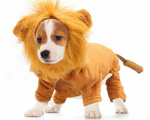 Rypet Dog Lion Costume Pet Clothes for Party Simulation Lion Pets Outfits Cosplay Dress up Costume Pet Lion Hoodie Cat Costume for Party