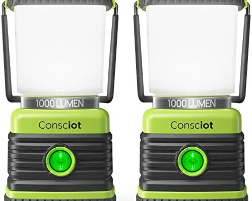 LED Camping Lantern, Consciot Battery Powered Camping Lights, 1000LM, 4 Light Modes, IPX4 Waterproof Tent Lights, Portable Flashlight for Power Outages, Emergency, Hurricane, Hiking, 2-Pack