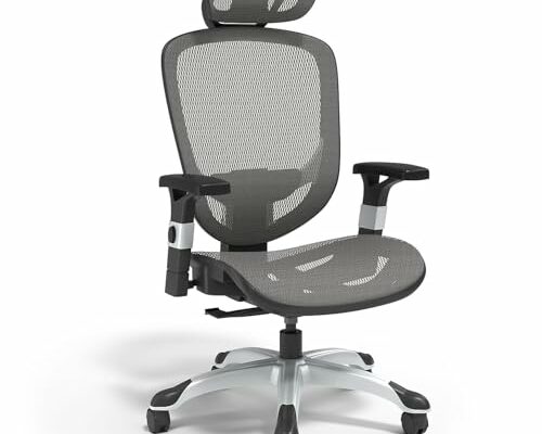 STAPLES FlexFit Hyken Mesh Task Chair - Adjustable with Lumbar, Arm and Head Support, Charcoal Gray