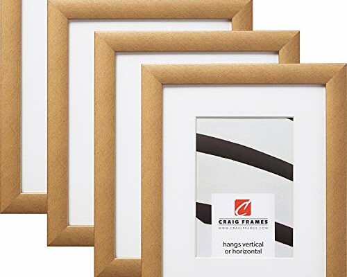 Craig Frames Contemporary, 8 x 12 Inch Distressed Gold Picture Frame Matted to Display a 5 x 7 Inch Photo, Set of 4