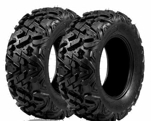 Set of 2 22x10.00-10 ATV UTV Tires 22x10x10 All Terrain Spare Tires 4PR Tubeless