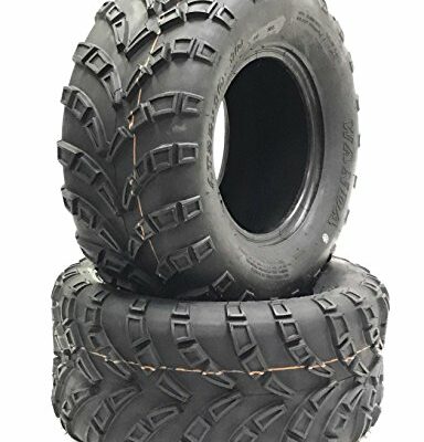 Set of 2 WANDA ATV Tires AT 22x10-10 /6PR -10260