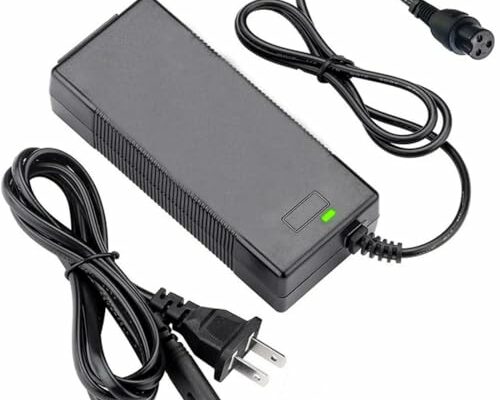 [Verified Fit] 29.4V 1.5A/ 1A 3-Prong Scooter Charger for Jetson Swagtron Hover-1 etc. 24V/ 25.2V/ 25.9V Lithium Battery Pack(NOT for 36V/37V!) Sports and Outdoor Electric Equipments