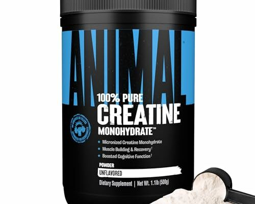 Animal Micronized Creatine Monohydrate Powder - Delays Muscle Fatigue, Supports Muscle Growth, Endurance, ATP Production, Cognitive Function, Strength, and Recovery for Men & Women - Unflavored, 500g