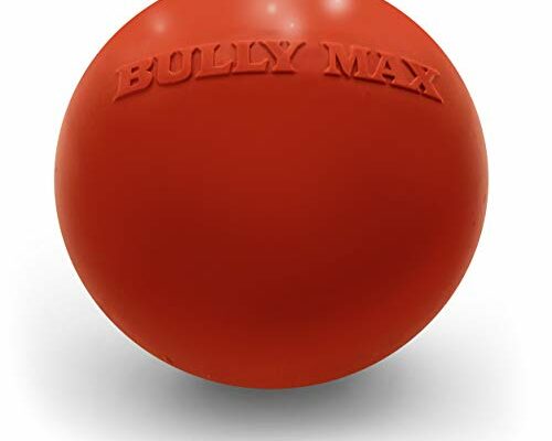 Bully Max Indestructible Dog Ball Toy for Aggressive Chewers - Dog Chew Toy for Puppy, Adult, Small, Medium & Large Dogs - Durable Balls for Dogs to Fetch for Indoor & Outdoor - Guaranteed to Last