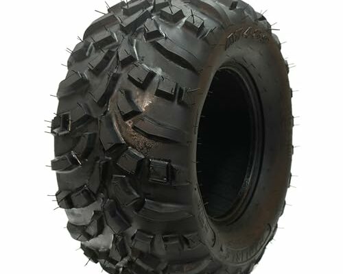 Carlisle AT489C ATV Tire - 22X11-10