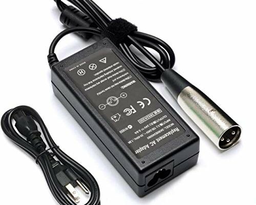 Electric Scooter Battery Charger for eZip 750 E750 400 E400 500 E500 450 900 eZip 4.0 4.5 E-4.5 Schwinn S180 S500 S750 Trailz Electric Bike Motor Bicycle Parts-24V 0.6A 36W