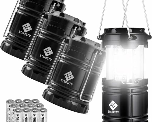 Etekcity Camping Lanterns for Power Outages 4 Pack, Flashlight for Camping Essentials, Emergency Led Battery Operated Lights, Survival Kit and Gear for Hurricane, Black