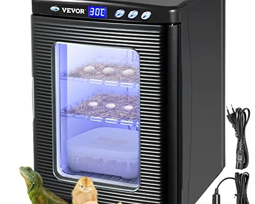 Happybuy Black Reptile Incubator 25L Scientific Lab Incubator Digital Incubator Cooling and Heating 5-42°C Reptile Egg Incubator 12V/110V Work for Small Reptiles