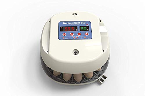 Manna Pro Harris Farms Nurture Right Egg Incubator for Hatching Chicks - Holds 12-22 Eggs - Automatic Egg Turner with Temperature and Humidity Control - 360 Degree View with Clear Window