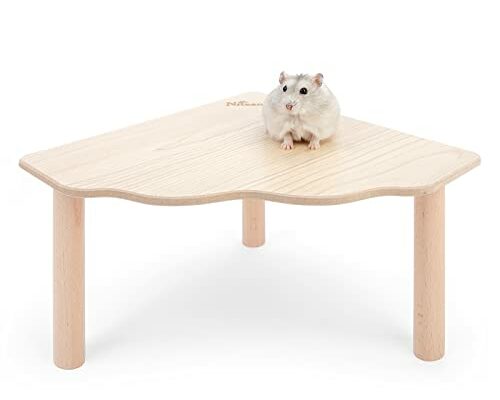 Niteangel Hamster Play Wooden Platform for Dwarf Syrian Hamsters Gerbils Mice Degus or Other Small Pets (Triangle - 4.7'' Height, Burlywood)