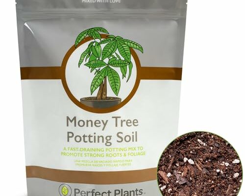 Perfect Plants Money Tree Potting Soil 4qt | Organic Coco Coir Based Plant Mix for Indoor Trees | Quickly Grow Your Indoor Forest