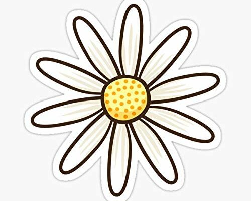 STICKY DUDE | White Daisy Sticker Flower, 5 inches - Yeti Cup Vinyl Waterproof Sticker Daisy Decal Car Laptop Wall Window Bumper Sticker