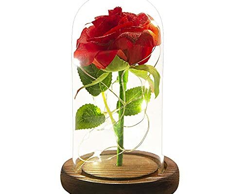 URBANSEASONS Valentines Day Gifts for Her,Womens Valentines Glass Rose Gifts,Forever Real Roses Birthday Gifts for Wife Women Mom Girlfriend Grandma,Beauty and The Beast Rose